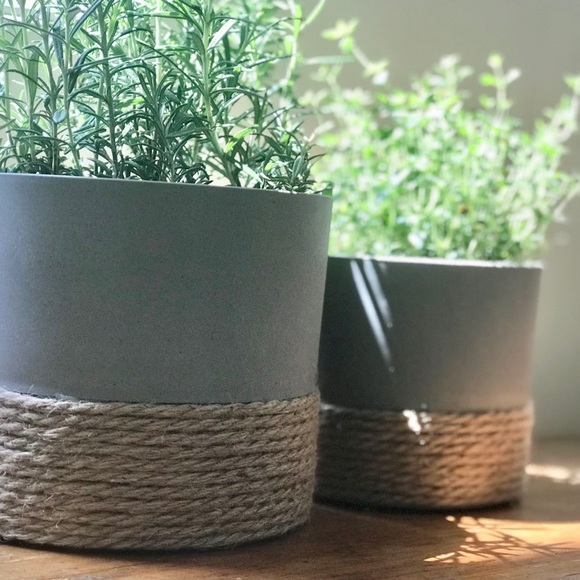 Flower Pot - Picture 4 of 6